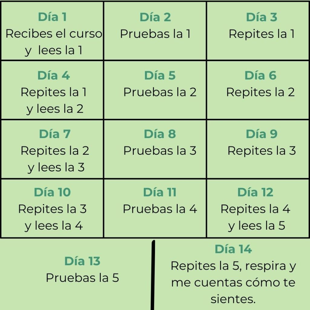 Tabla días de 5 rutinas Sé Tú Hoy